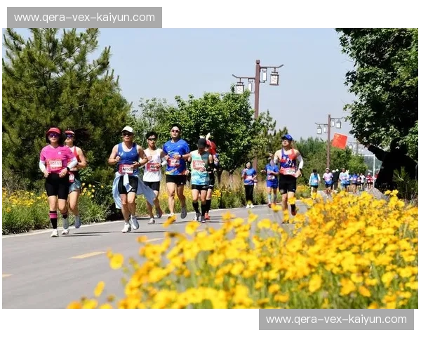 马拉松数据：把握每一步的秘密，让成绩与健康双提升